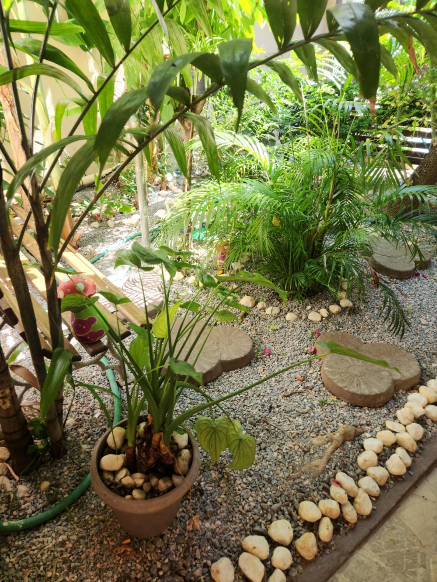 Pousada Flor Dalia Natal Ngoại thất bức ảnh